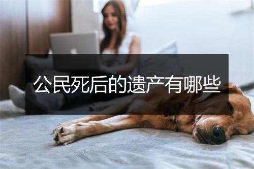 公民死后的遗产有哪些