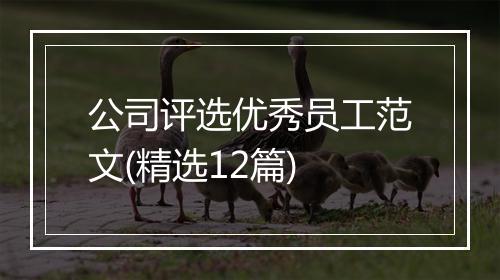 公司评选优秀员工范文(精选12篇)