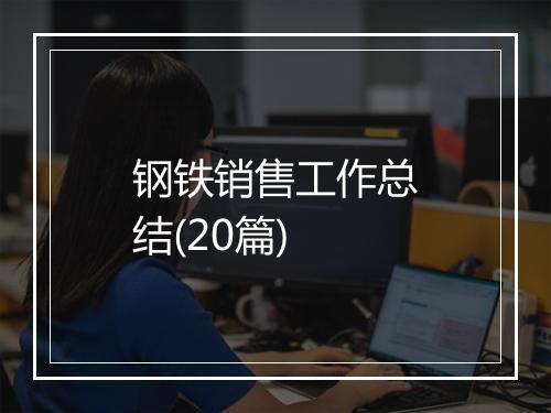 钢铁销售工作总结(20篇)