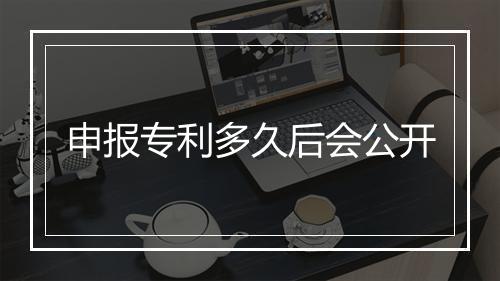 申报专利多久后会公开