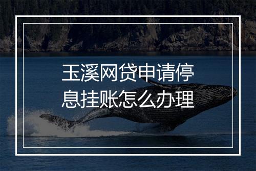 玉溪网贷申请停息挂账怎么办理