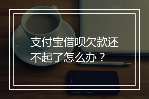 支付宝借呗欠款还不起了怎么办？