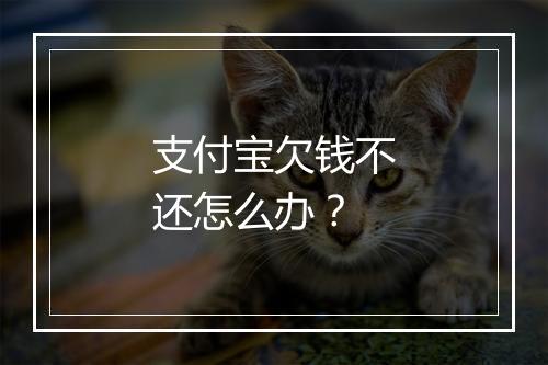 支付宝欠钱不还怎么办？
