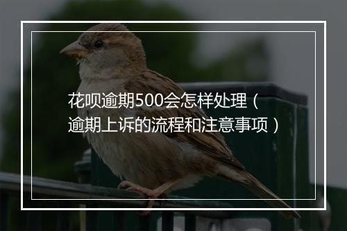 花呗逾期500会怎样处理（逾期上诉的流程和注意事项）