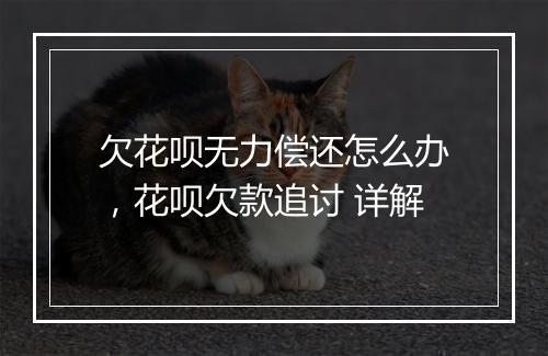 欠花呗无力偿还怎么办，花呗欠款追讨 详解