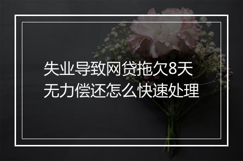 失业导致网贷拖欠8天无力偿还怎么快速处理