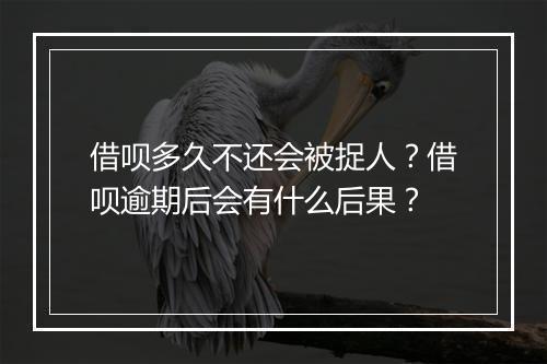 借呗多久不还会被捉人？借呗逾期后会有什么后果？