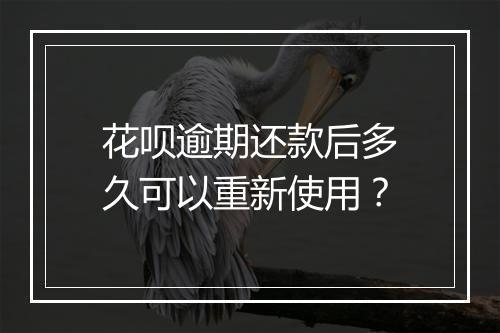 花呗逾期还款后多久可以重新使用？