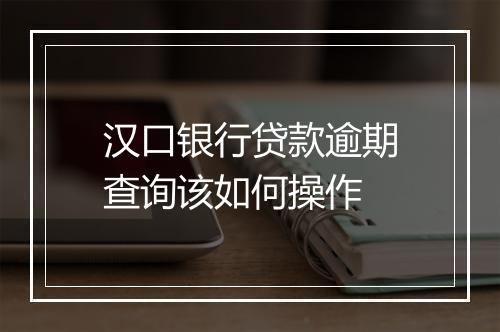 汉口银行贷款逾期查询该如何操作