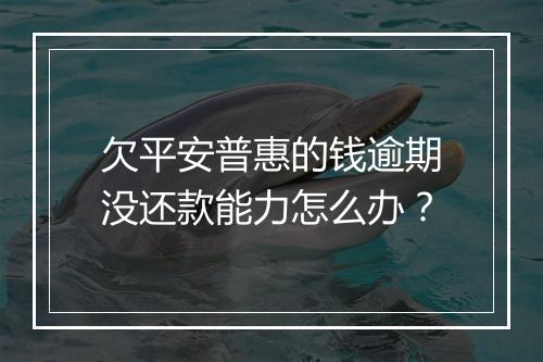 欠平安普惠的钱逾期没还款能力怎么办？