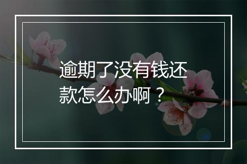 逾期了没有钱还款怎么办啊？