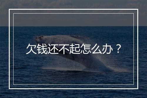 欠钱还不起怎么办？