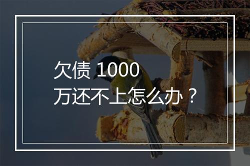 欠债 1000 万还不上怎么办？