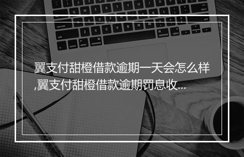 翼支付甜橙借款逾期一天会怎么样,翼支付甜橙借款逾期罚息收费详情