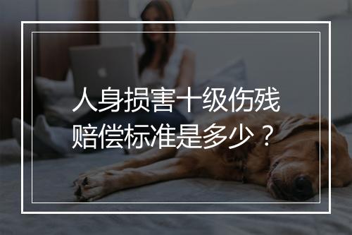 人身损害十级伤残赔偿标准是多少？