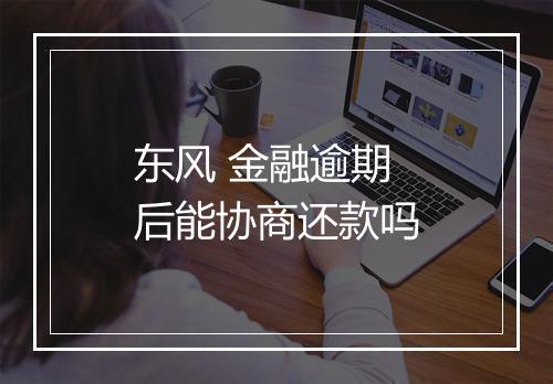 东风 金融逾期后能协商还款吗