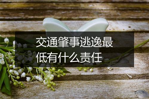 交通肇事逃逸最低有什么责任