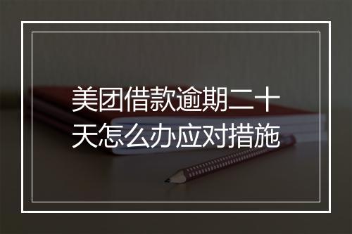 美团借款逾期二十天怎么办应对措施