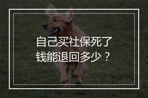 自己买社保死了钱能退回多少？