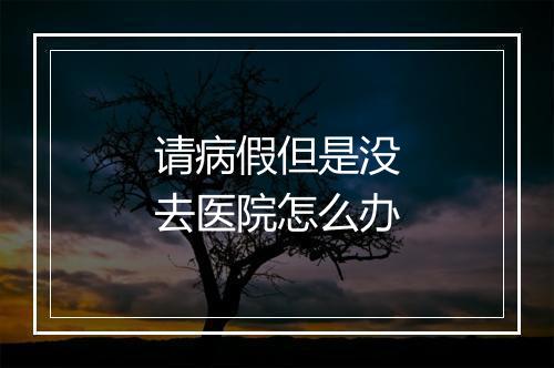 请病假但是没去医院怎么办