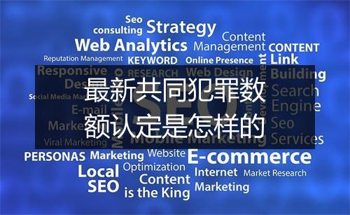 最新共同犯罪数额认定是怎样的