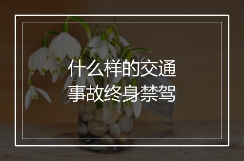 什么样的交通事故终身禁驾