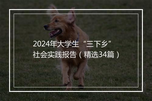 2024年大学生“三下乡”社会实践报告（精选34篇）