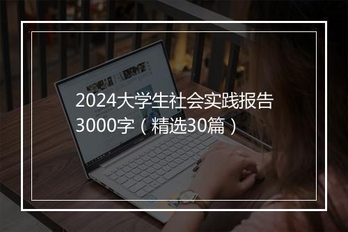 2024大学生社会实践报告3000字（精选30篇）