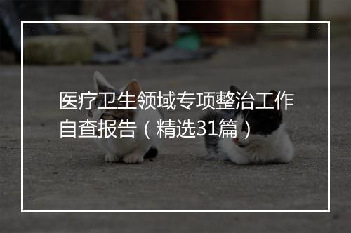 医疗卫生领域专项整治工作自查报告（精选31篇）