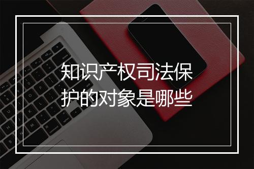 知识产权司法保护的对象是哪些