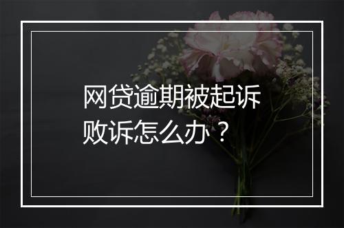 网贷逾期被起诉败诉怎么办？