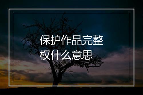保护作品完整权什么意思