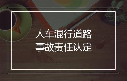 人车混行道路事故责任认定
