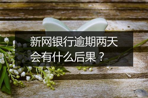 新网银行逾期两天会有什么后果？