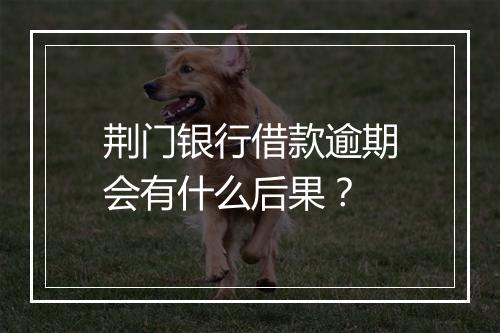 荆门银行借款逾期会有什么后果？