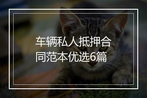 车辆私人抵押合同范本优选6篇