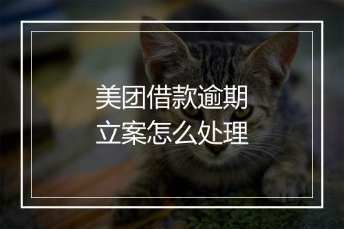 美团借款逾期立案怎么处理