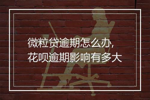 微粒贷逾期怎么办,花呗逾期影响有多大