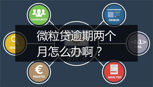 微粒贷逾期两个月怎么办啊？
