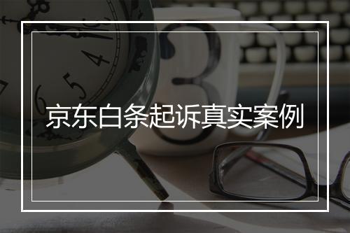 京东白条起诉真实案例