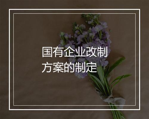国有企业改制方案的制定
