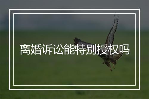 离婚诉讼能特别授权吗
