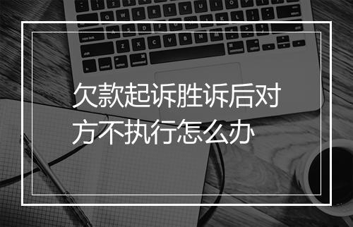 欠款起诉胜诉后对方不执行怎么办