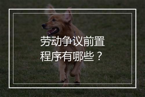 劳动争议前置程序有哪些？