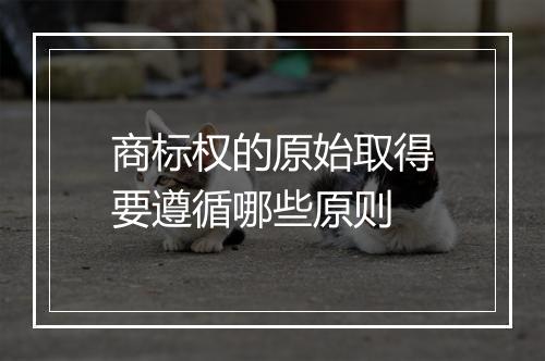 商标权的原始取得要遵循哪些原则