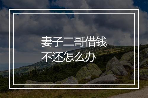 妻子二哥借钱不还怎么办