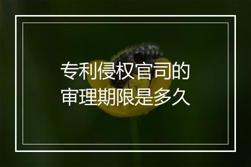 专利侵权官司的审理期限是多久