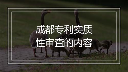 成都专利实质性审查的内容