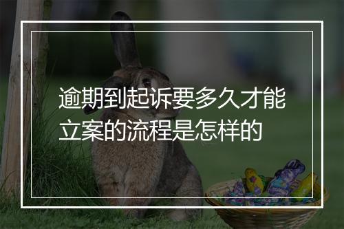 逾期到起诉要多久才能立案的流程是怎样的