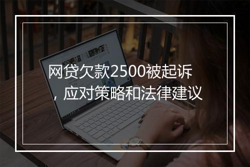 网贷欠款2500被起诉，应对策略和法律建议